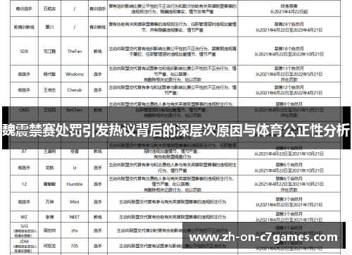 魏震禁赛处罚引发热议背后的深层次原因与体育公正性分析