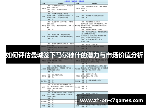 如何评估曼城签下马尔穆什的潜力与市场价值分析 如何评估曼城签下马尔穆什的潜力与市场价值分析