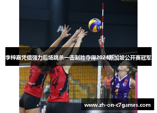 李梓嘉凭借强力后场跳杀一击制胜夺得2024新加坡公开赛冠军